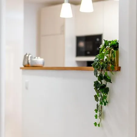 Lovely 2br W/ Views Over The River, Parking Incl アパート *