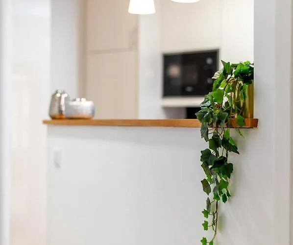 Lovely 2br W/ Views Over The River, Parking Incl 公寓 *